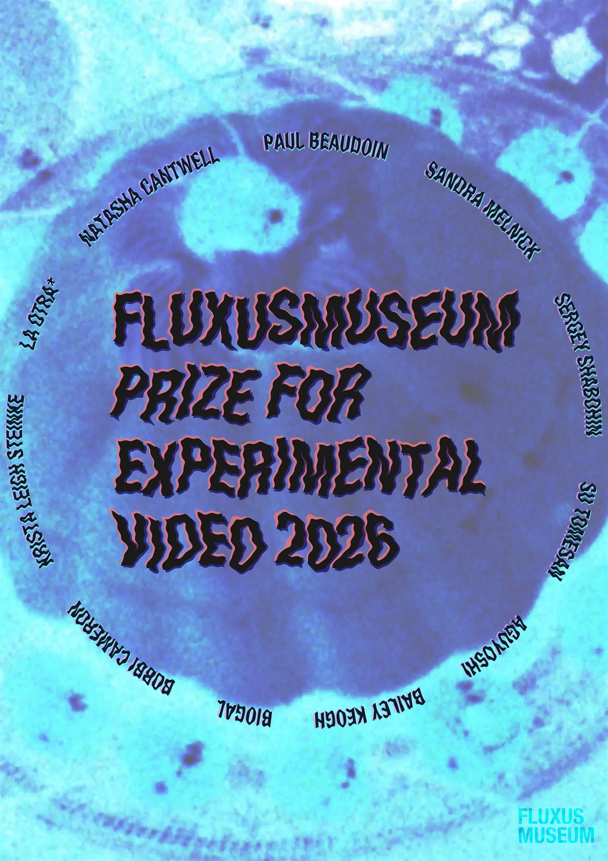 Prize for Experimental Video 2026 poster